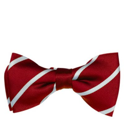 SMART TURNOUT Cornell University silk bow tie