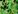 Vert pomme/ green