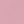 Colonial rose