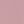 Colonial rose