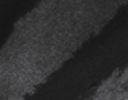 Black print