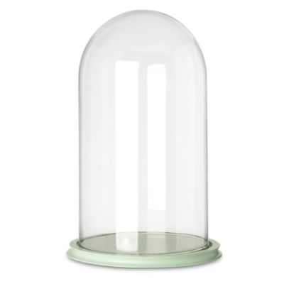 MISS ETOILE Extra large display dome green