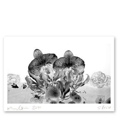 MARC QUINN Under Ocean Orchid print