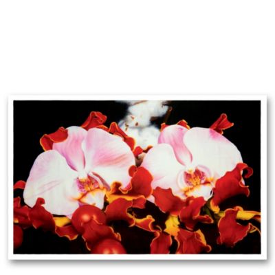 MARC QUINN Orchid 'under the volcano' scarf