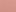 Chihuahua guava