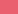 Citrus rose