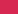 Fuchsia flame
