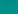 Teal top