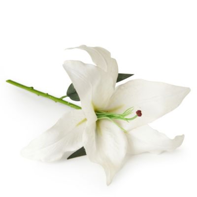 SIA HOME FASHION Casablanca lily