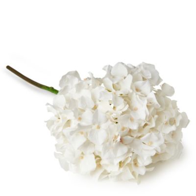 SIA HOME FASHION White hydrangea
