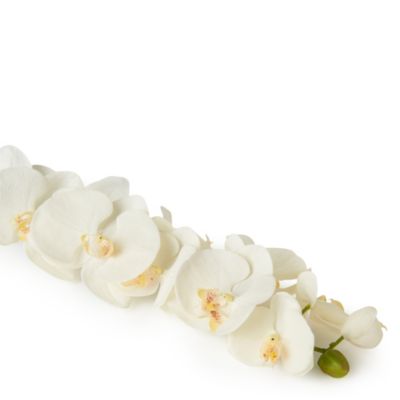 SIA HOME FASHION Orchid Phalenopsis in white