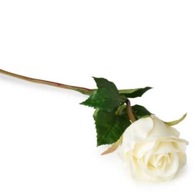 SIA HOME FASHION Rose Fabiola in white