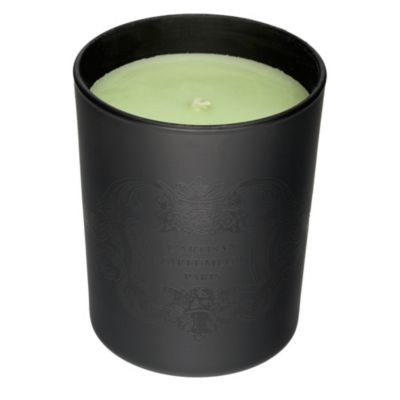 L'ARTISAN PARFUMEUR Parfum de Feuilles candle 175g