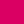 Bright zinnia
