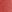 Organdi rose