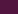 African violet