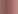 10 beige tribute