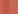 Pearly coral 2