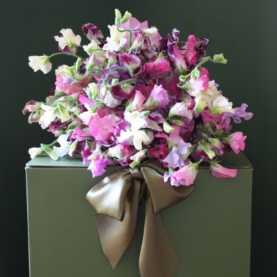 THE REAL FLOWER COMPANY English sweet pea bouquet
