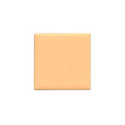 TRISH MCEVOY Even Skin Portable Foundation