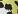 Spotted cat acid lime
