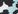 Spotted cat light blue